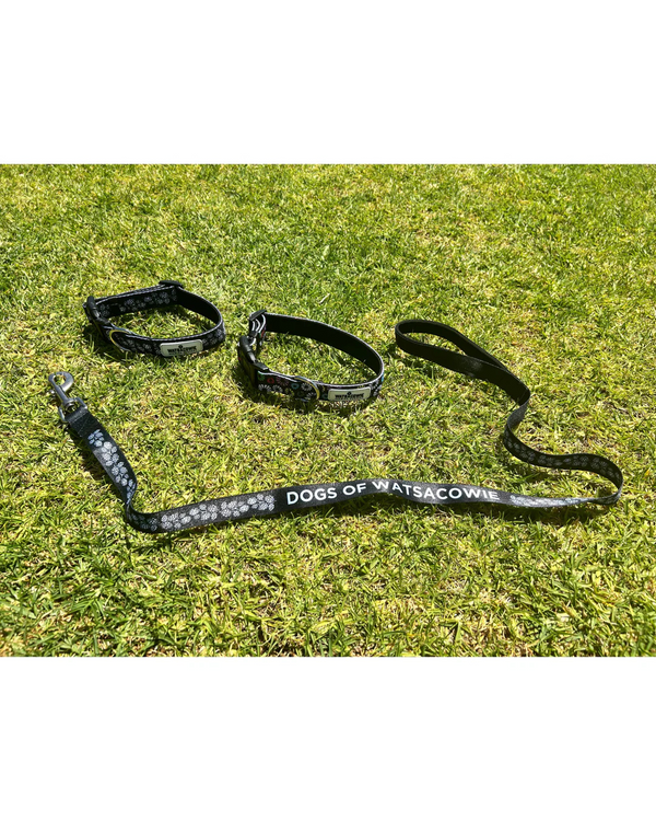 Watsacowie Pet Lead 1.2m