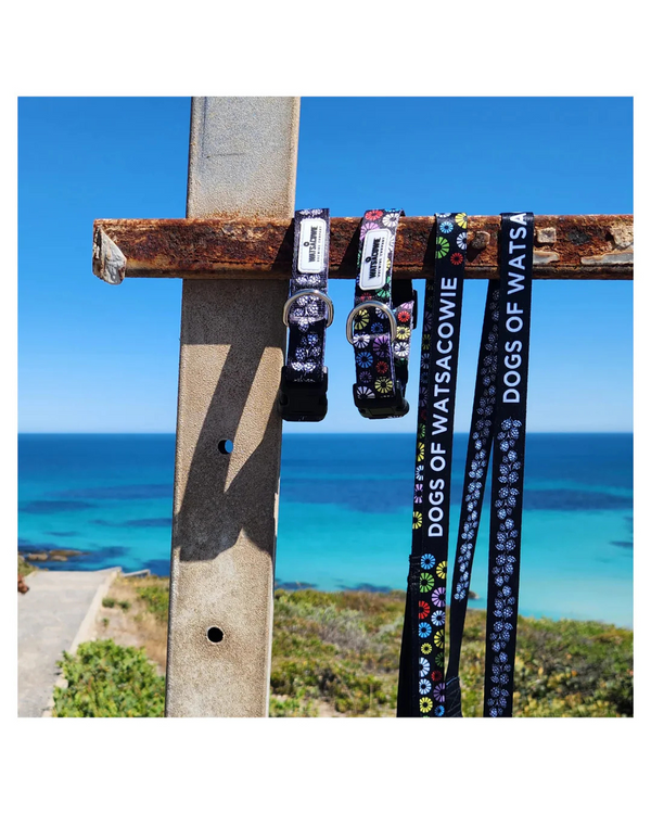 Watsacowie Dog Collar & Lead Set - Small to Medium Dogs