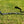 Load image into Gallery viewer, Watsacowie Pet Lead 1.2m