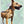Load image into Gallery viewer, WATSACOWIE DOG COLLAR
