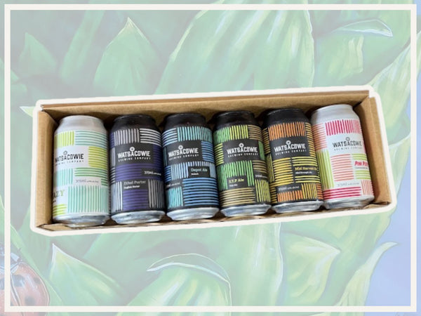 SPECIALTY MIXED 6 PACK